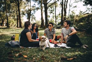 Group of people and a dog having a picnic and enjoying the sunny Newcastle weather