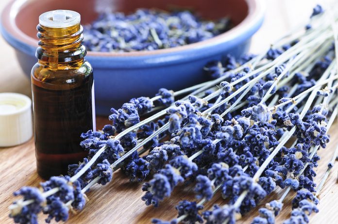 The Go With Bergamot Oil
